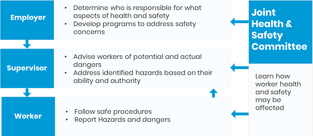 Flow chart showing the following info Employer: Determine who is responsible for what aspects of health and safety, Develop programs to address safety concerns arrow to supervisor) Supervisor: Advise workers of potential and actual dangers, Address identified hazards based on their ability and authority (arrow to worker) Worker: Follow safe procedures, Report Hazards and dangers (arrow to supervisor) Joint Health & Safety Committee: Learn how worker health and safety may be affected (arrows to employer, worker, supervisor)