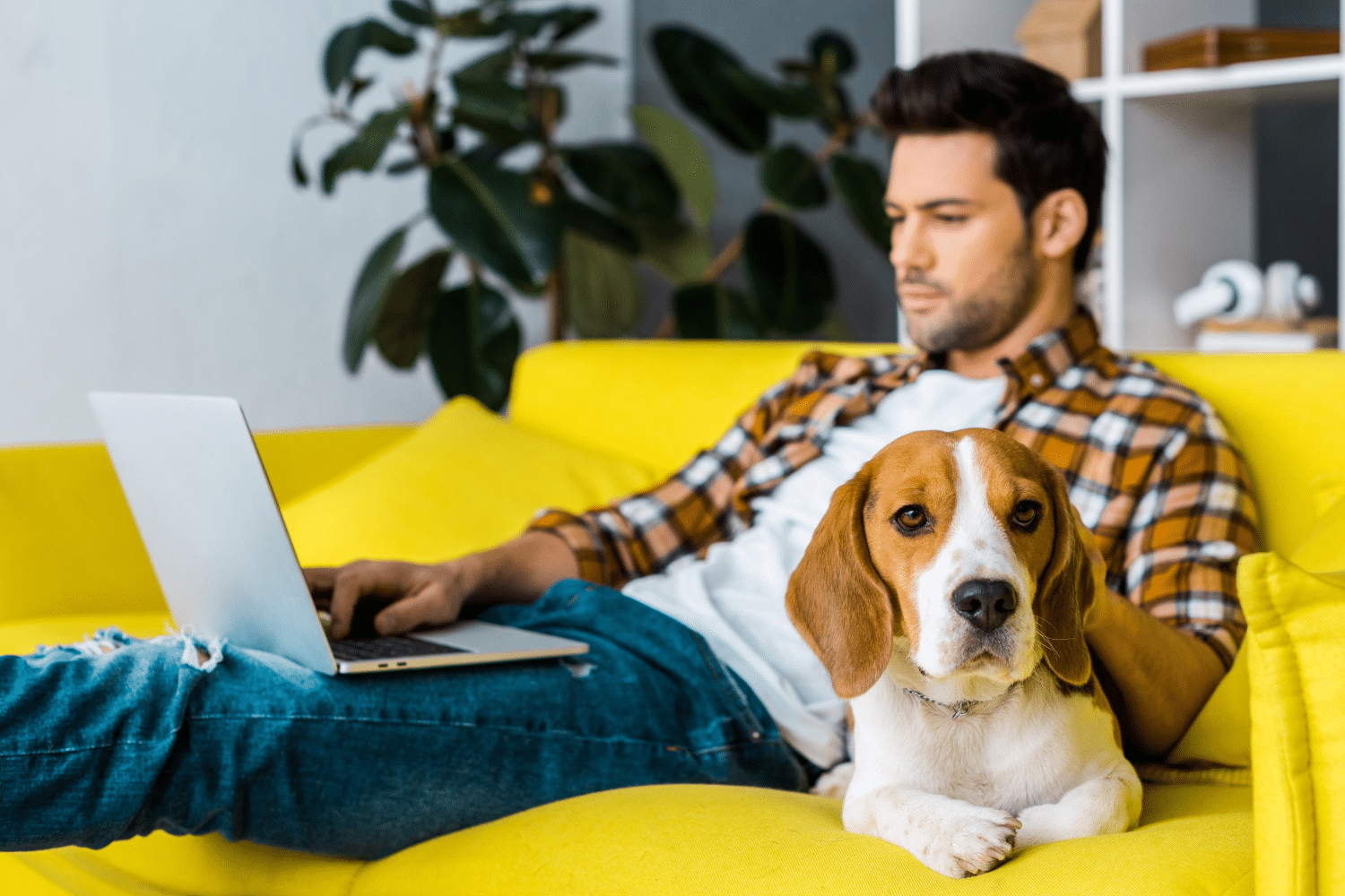 Man sitting on a couch beside a dog while working remotely
