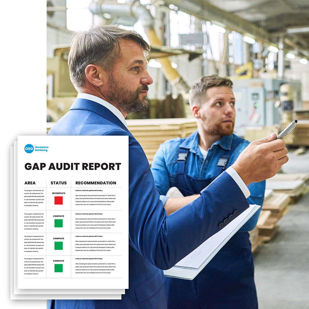Gap-Audit-report